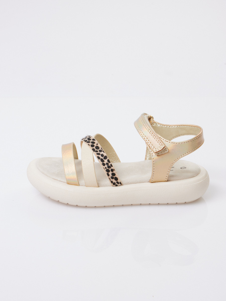 SJ Brand-641661