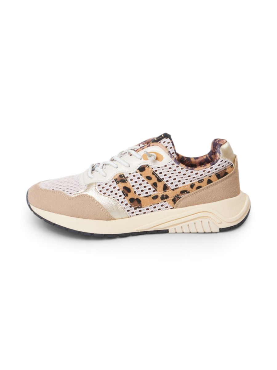 SJ Brand-643633